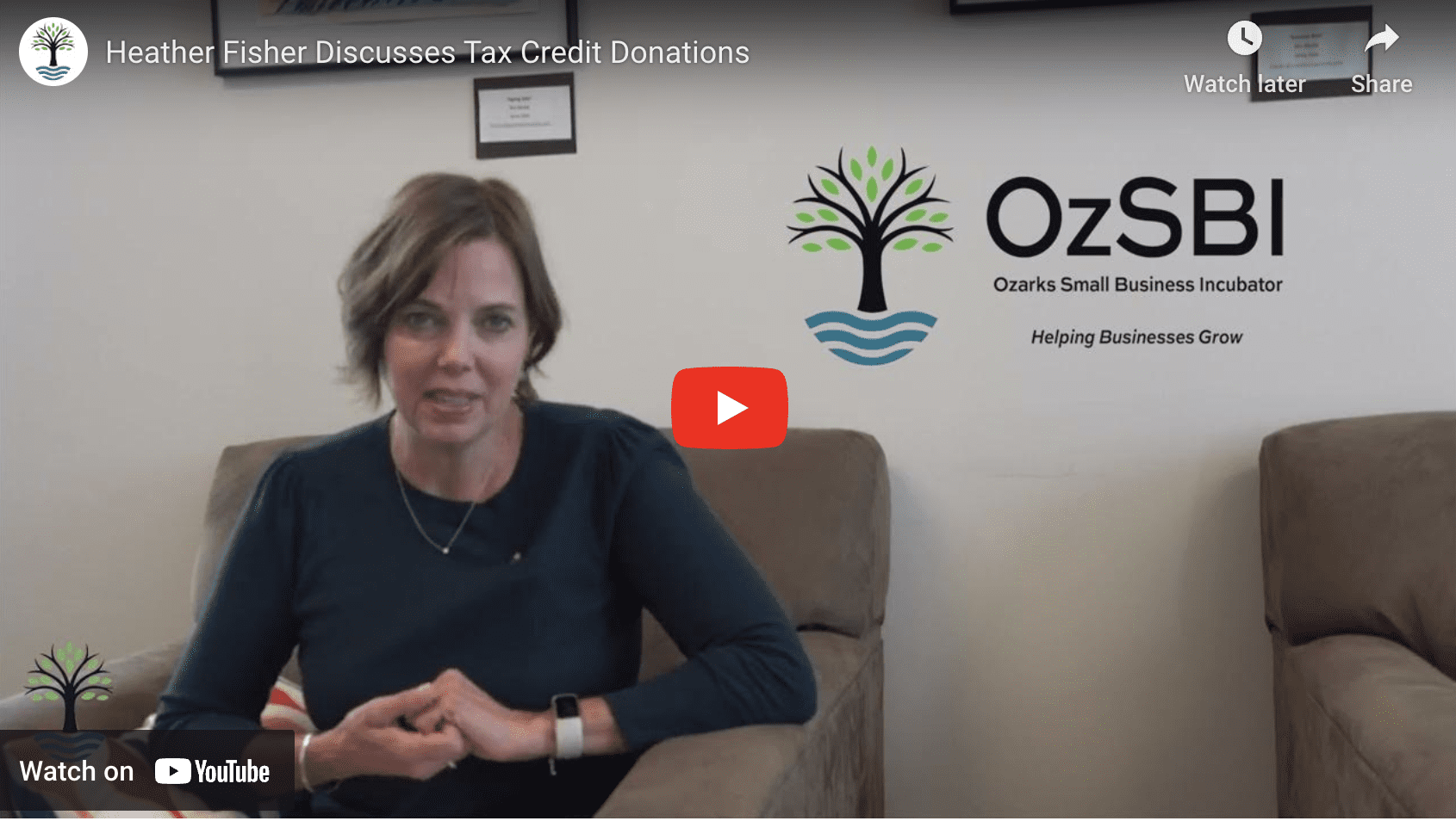 Heather FIsher explains tax credit donations for OzSBI